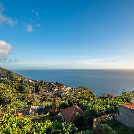 White Rabbit I By Homie