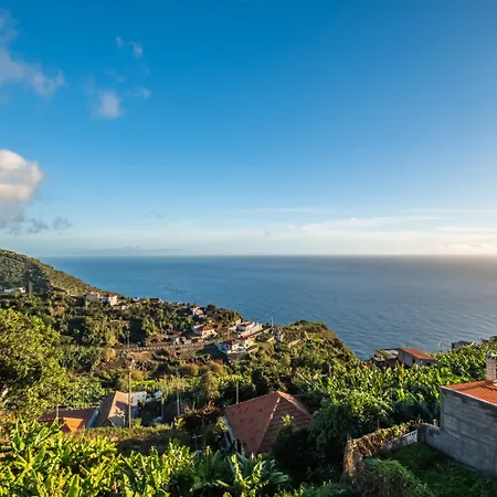 White Rabbit I By Homie 3*