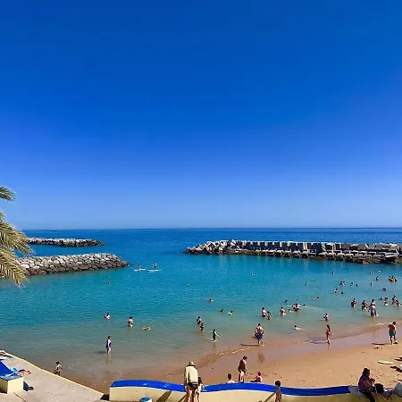 White Rabbit I By Homie 3*