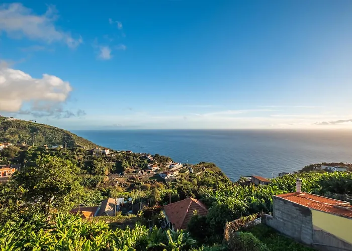 White Rabbit I By Homie