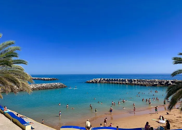 Affittacamere White Rabbit I By Homie Calheta (Madeira)